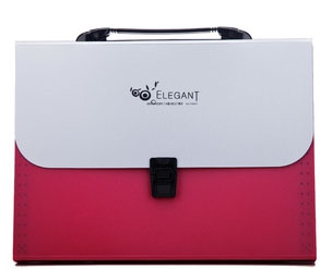 Elegant A4 Box File  F8807