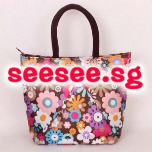 Colourful lunch bag / mini handbag NO.1
