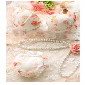 Floral sexy bra set