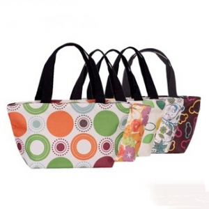 Assorted design Waterproof small lunch bag