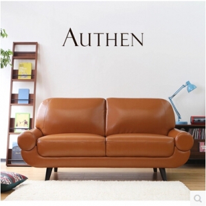 PU Leather sofa