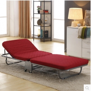 Preorder-Fold-out bed/rollaway  