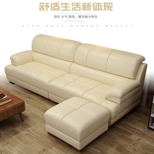 Preorder-leather sofa