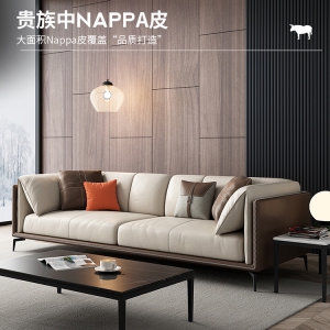 预售-真皮沙发意式客厅组合头层牛皮简约现代